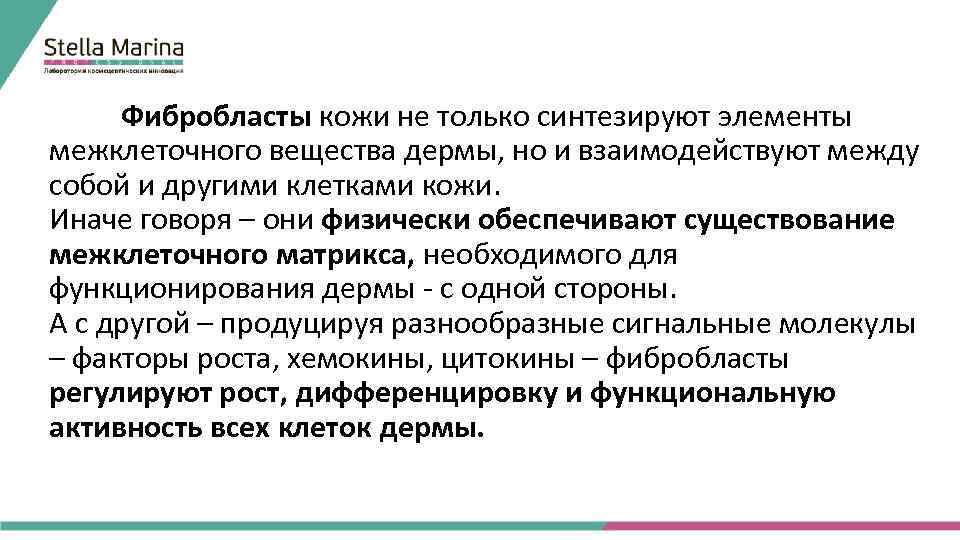 Фибробласты кожи не только синтезируют элементы межклеточного вещества дермы, но и взаимодействуют между собой