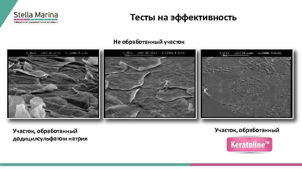 Тесты на эффективность Не обработанный участок Участок, обработанный додицилсульфатом натрия Участок, обработанный 