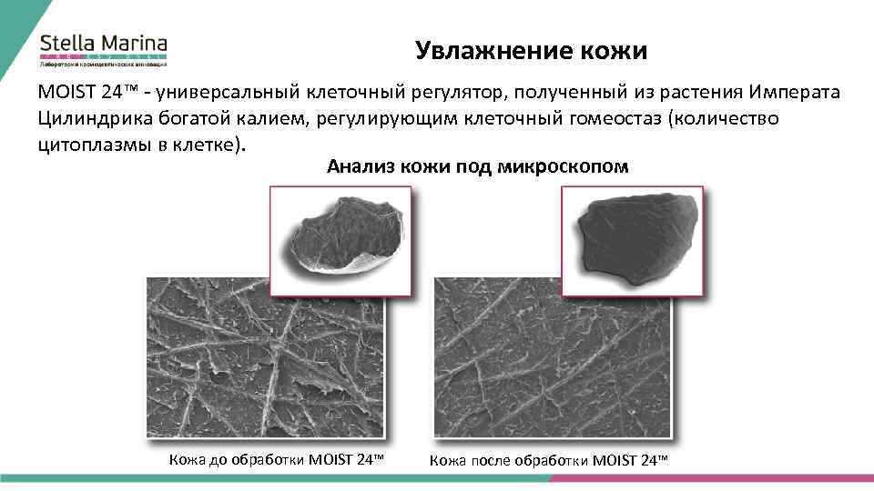 Увлажнение кожи MOIST 24™ - универсальный клеточный регулятор, полученный из растения Императа Цилиндрика богатой