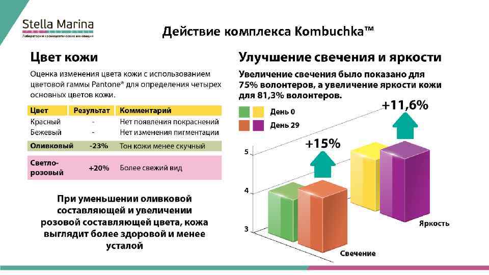 Действие комплекса Kombuchka™ 