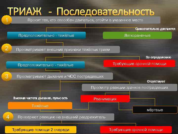 ТРИАЖ - Последовательность 1 Просят тех, кто способен двигаться, отойти в указанное место Самостоятельно