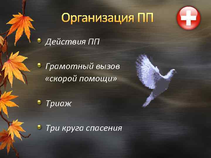 Организация ПП Действия ПП Грамотный вызов «скорой помощи» Триаж Три круга спасения 