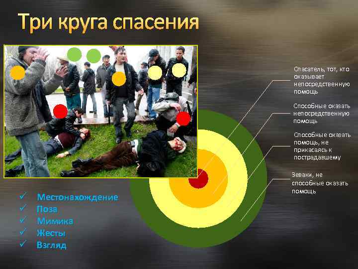 Три круга спасения Спасатель, тот, кто оказывает непосредственную помощь Способные оказать помощь, не прикасаясь