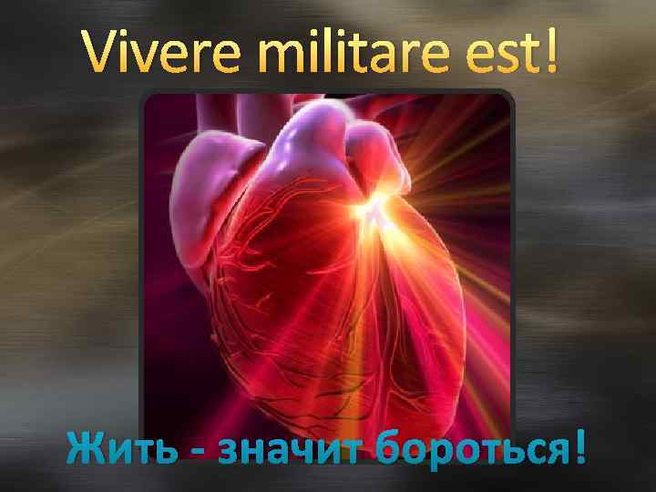 Vivere militare est перевод. Жить значит бороться. Vivere Militare est жить значит бороться. Эскизы тату vivere Militare est жить - значит бороться. Бороться значит жить жить значит бороться.