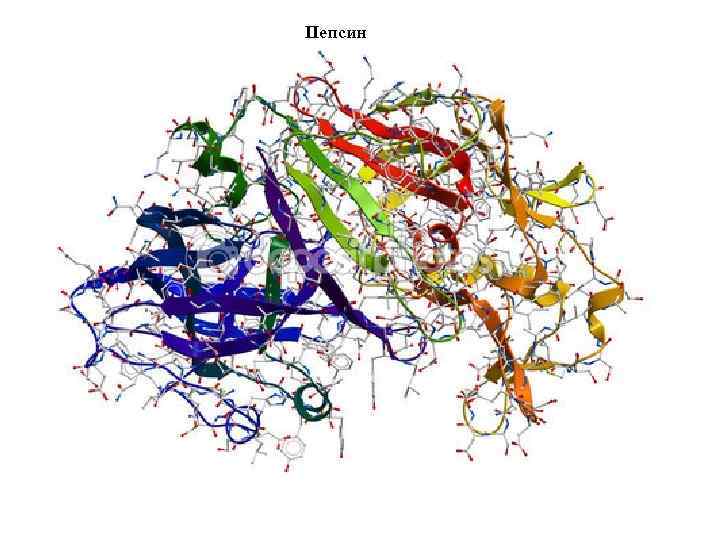 Пепсин 