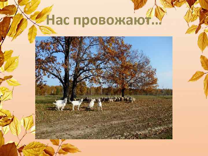 Нас провожают… 