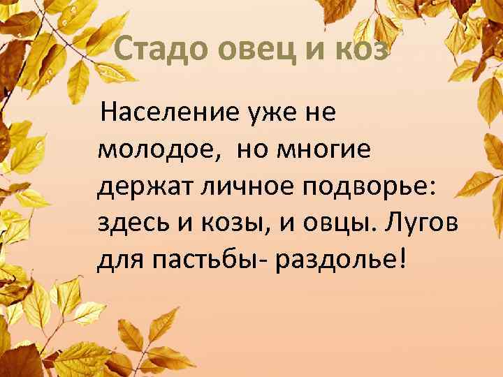 Стадо овец и коз Население уже не молодое, но многие держат личное подворье: здесь