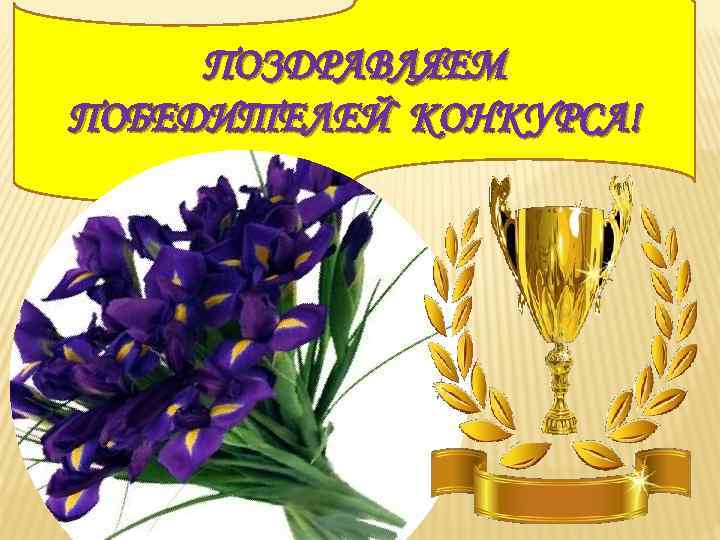 ПОЗДРАВЛЯЕМ ПОБЕДИТЕЛЕЙ КОНКУРСА! 