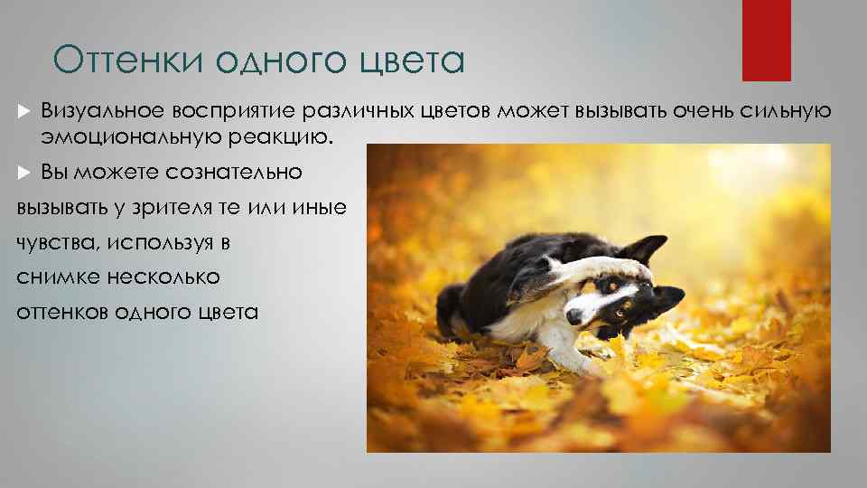 Оттенки одного цвета Визуальное восприятие различных цветов может вызывать очень сильную эмоциональную реакцию. Вы