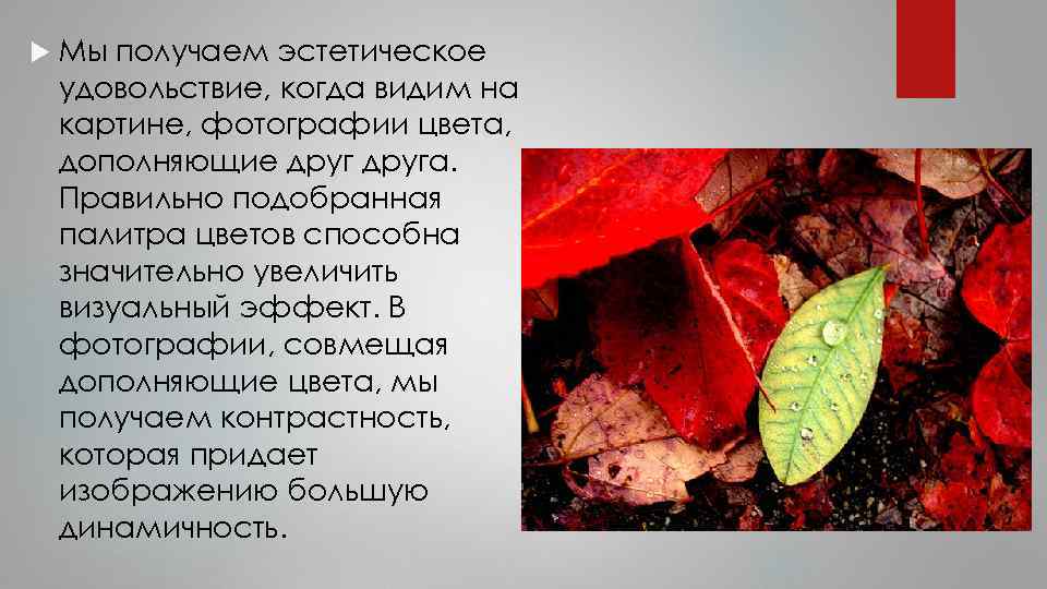  Мы получаем эстетическое удовольствие, когда видим на картине, фотографии цвета, дополняющие друга. Правильно