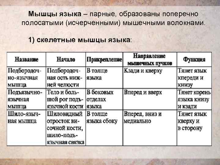 Мышцы языка. Мышцы языка таблица. Функции мышц языка. Функции скелетных мышц языка. Собственные мышцы языка таблица.