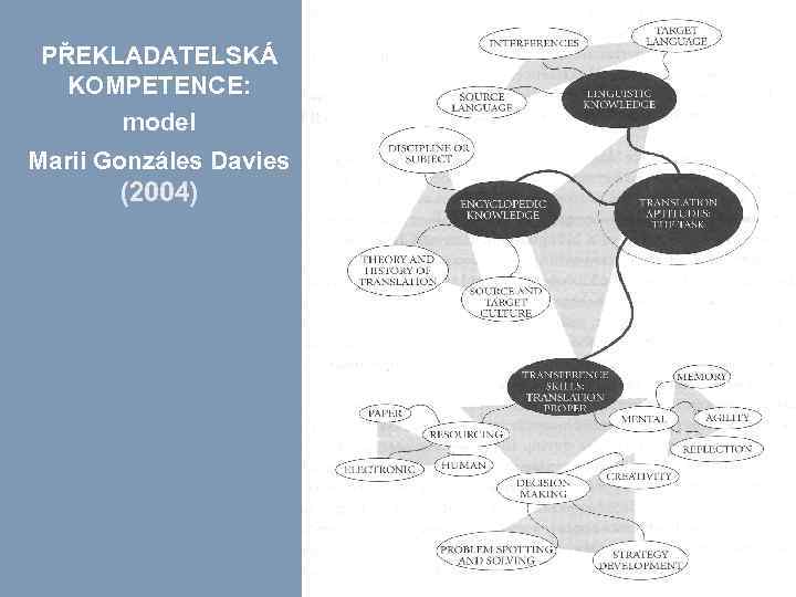 PŘEKLADATELSKÁ KOMPETENCE: model Marii Gonzáles Davies (2004) 