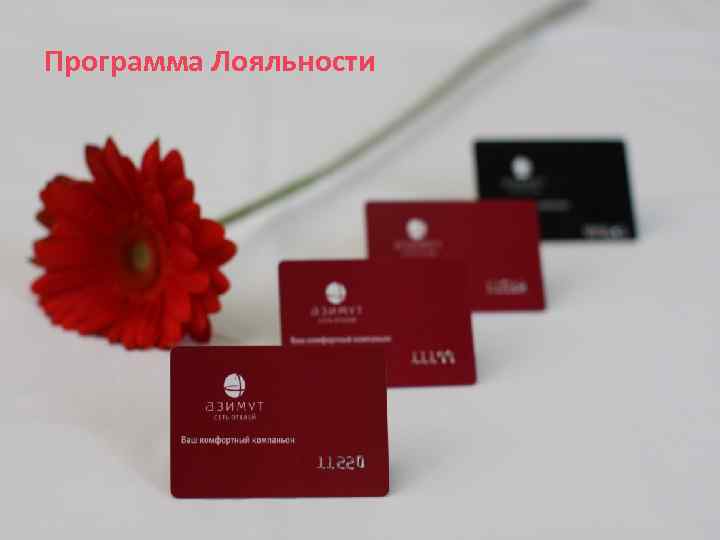 Программа Лояльности 
