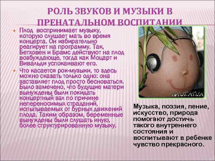 РОЛЬ ЗВУКОВ И МУЗЫКИ В ПРЕНАТАЛЬНОМ ВОСПИТАНИИ Плод воспринимает музыку, которую слушает мать во