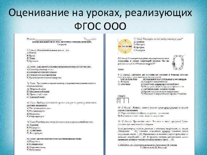 Оценивание на уроках, реализующих ФГОС ООО 