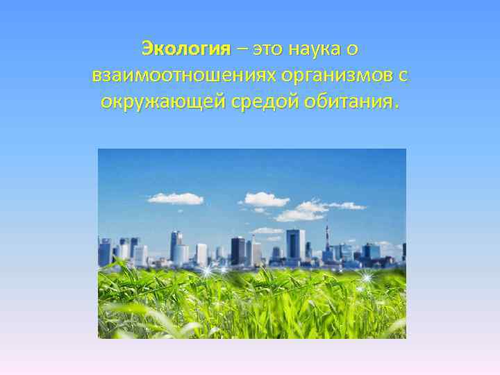 Экология – это наука о взаимоотношениях организмов с окружающей средой обитания. 