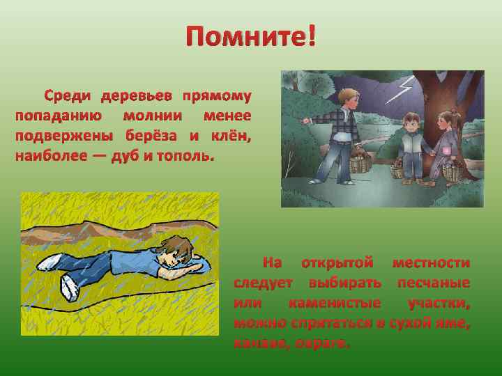 Помните! Среди деревьев прямому попаданию молнии менее подвержены берёза и клён, наиболее — дуб