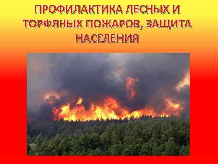 Профилактика лесных и торфяных пожаров 7 класс. Предупреждение лесных и торфяных пожаров. Профилактика лесн и трофянных пожаров. Профилактика лесных пожаров и торфяных пожаров. Профилактика торфяных пожаров.