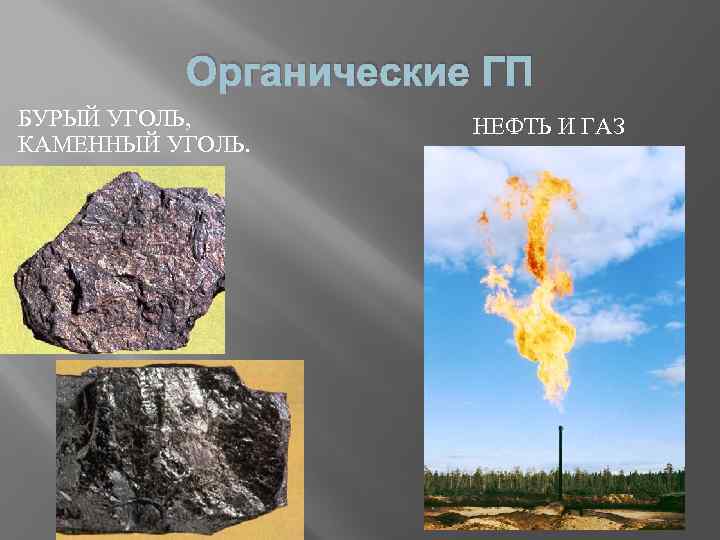 Органические ГП БУРЫЙ УГОЛЬ, КАМЕННЫЙ УГОЛЬ. НЕФТЬ И ГАЗ 