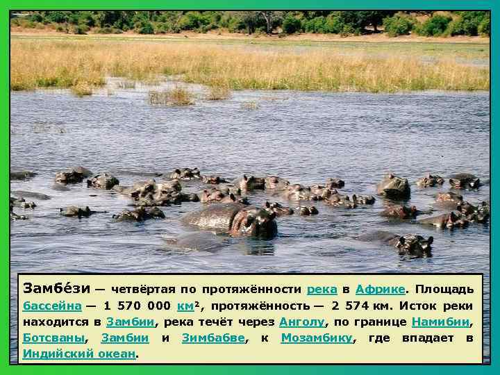 Замбе зи — четвёртая по протяжённости река в Африке. Площадь бассейна — 1 570
