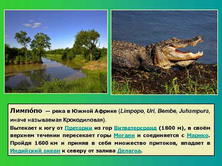 Лимпо по — река в Южной Африке (Limpopo, Uri, Bembe, Juhampura, иначе называемая Крокодиловая).