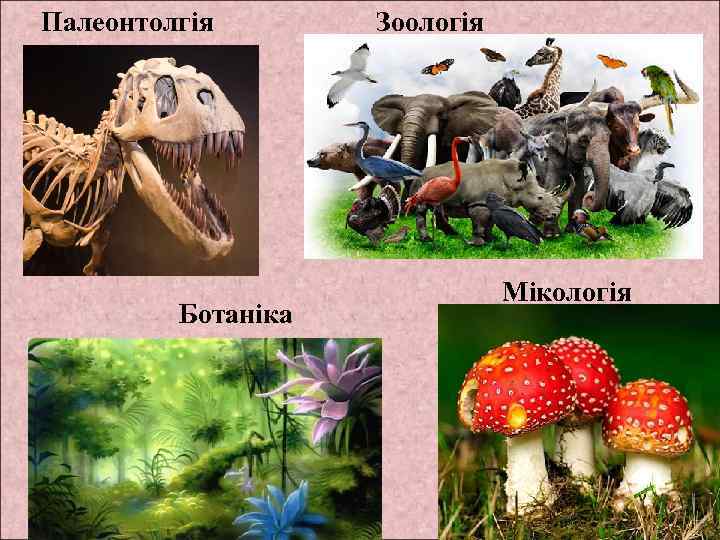Палеонтолгія Ботаніка Зоологія Мікологія 