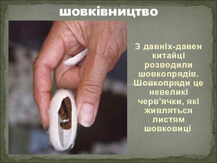 шовківництво З давніх-давен китайці розводили шовкопрядів. Шовкопряди це невеликі черв'ячки, які живляться листям шовковиці.