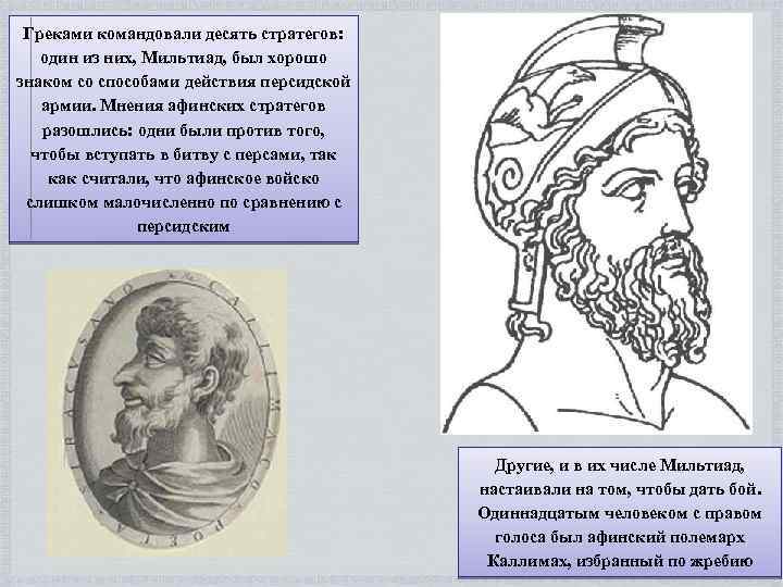 Греками командовали десять стратегов: один из них, Мильтиад, был хорошо знаком со способами действия