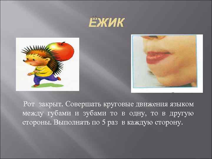 ЁЖИК Рот закрыт. Совершать круговые движения языком между губами и зубами то в одну,