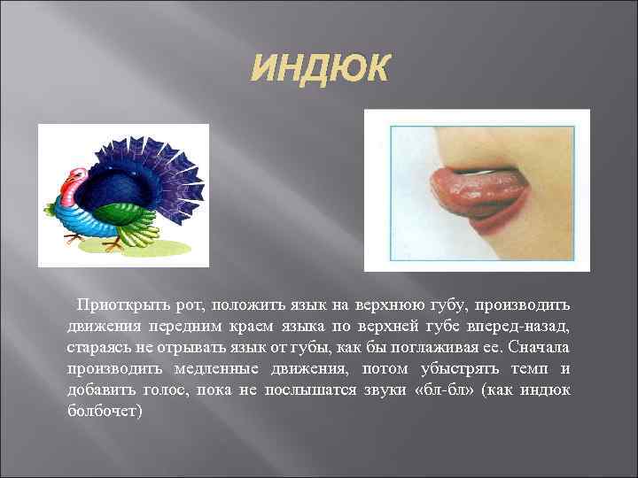 ИНДЮК Приоткрыть рот, положить язык на верхнюю губу, производить движения передним краем языка по