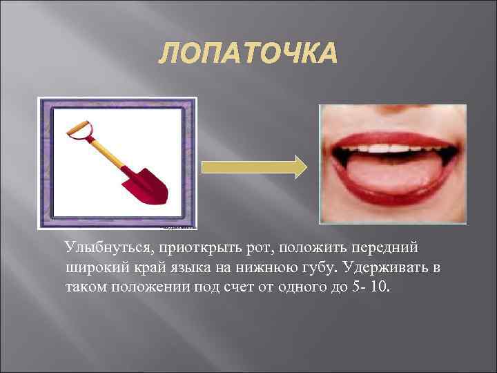 ЛОПАТОЧКА Улыбнуться, приоткрыть рот, положить передний широкий край языка на нижнюю губу. Удерживать в