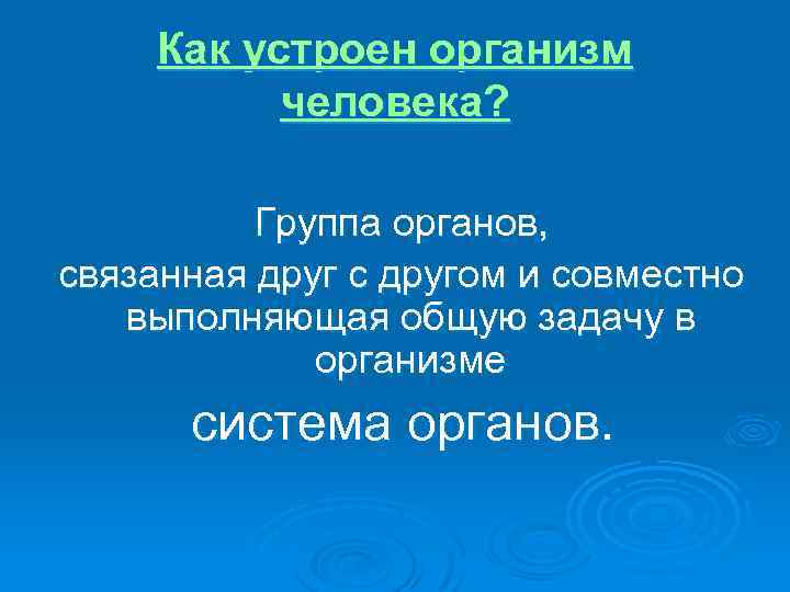 Как устроен организм человека? Группа органов, связанная друг с другом и совместно выполняющая общую