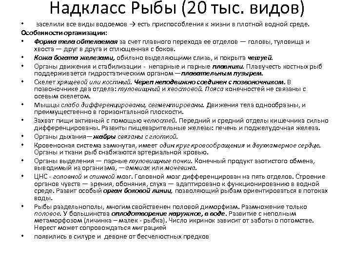 Надкласс Рыбы (20 тыс. видов) • заселили все виды водоемов → есть приспособления к