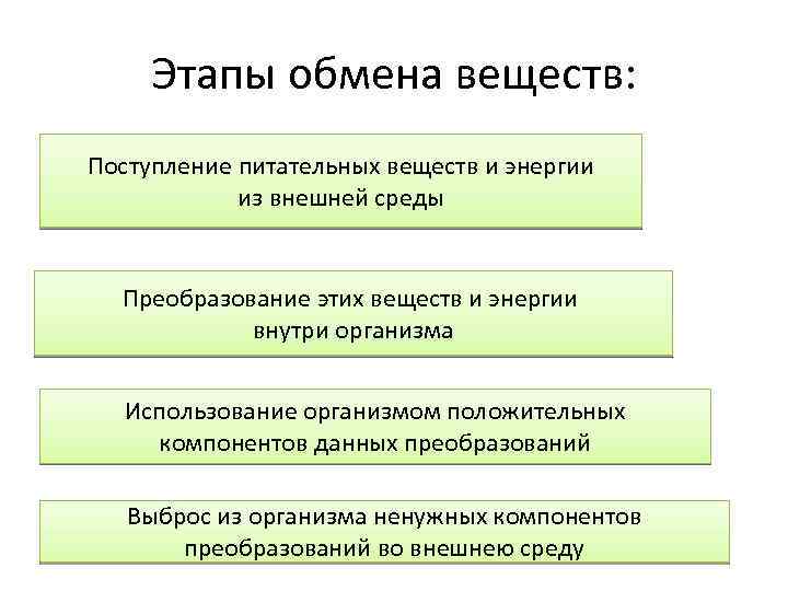 Этапы обмена веществ: Поступление питательных веществ и энергии из внешней среды Преобразование этих веществ