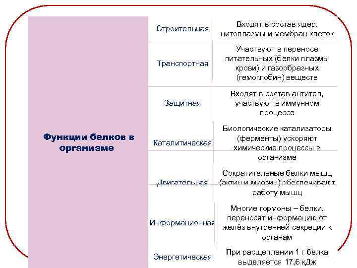  Строительная Транспортная Функции белков в организме Участвуют в переносе питательных (белки плазмы крови)