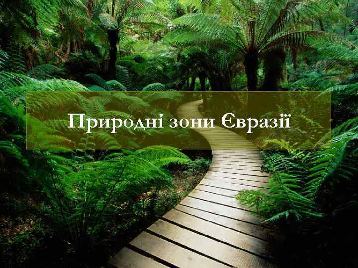 Природні зони Євразії 