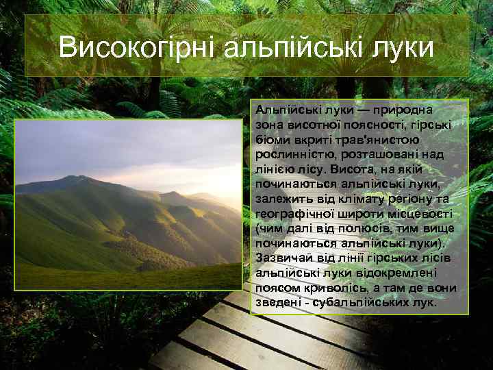 Високогірні альпійські луки Альпійські луки — природна зона висотної поясності, гірські біоми вкриті трав'янистою