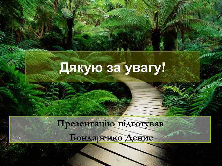 Дякую за увагу! Презентацію підготував Бондаренко Денис 