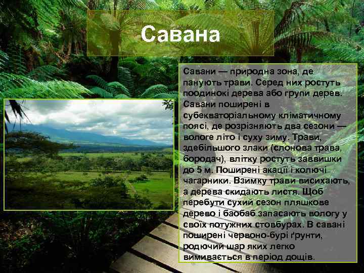 Савана Савани — природна зона, де панують трави. Серед них ростуть поодинокі дерева або