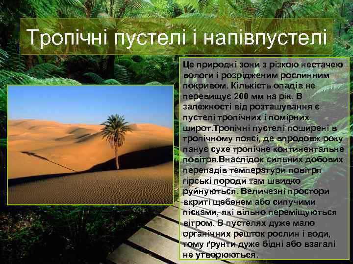 Тропічні пустелі і напівпустелі Це природні зони з різкою нестачею вологи і розрідженим рослинним