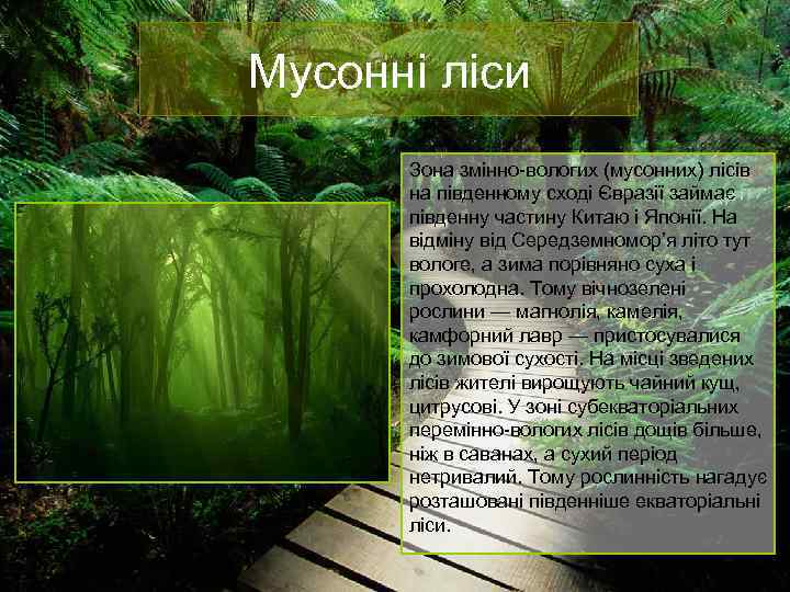 Мусонні ліси Зона змінно-вологих (мусонних) лісів на південному сході Євразії займає південну частину Китаю