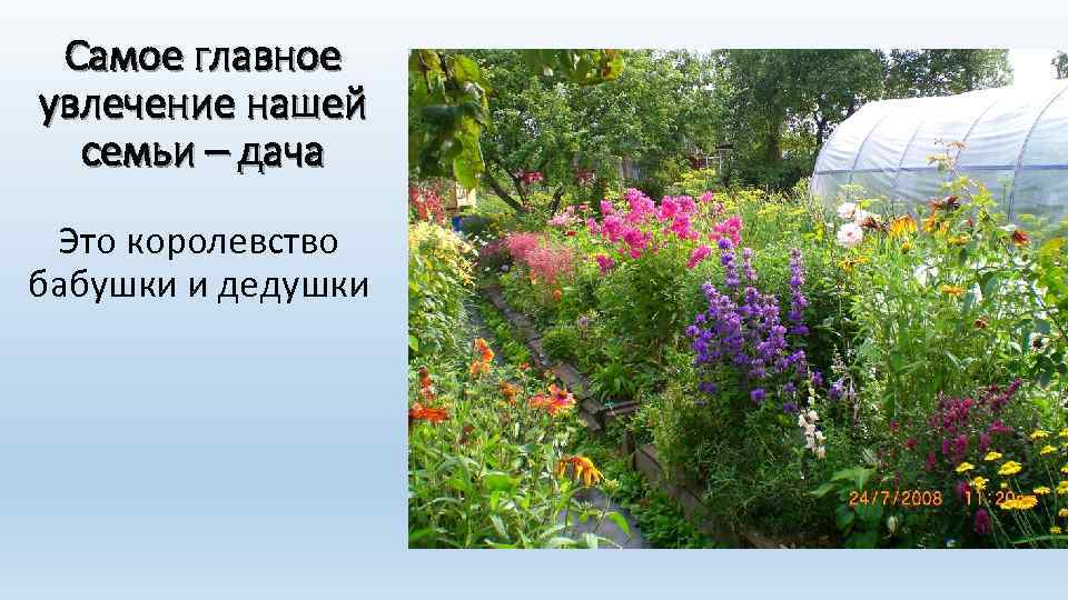 Самое главное увлечение нашей семьи – дача Это королевство бабушки и дедушки 