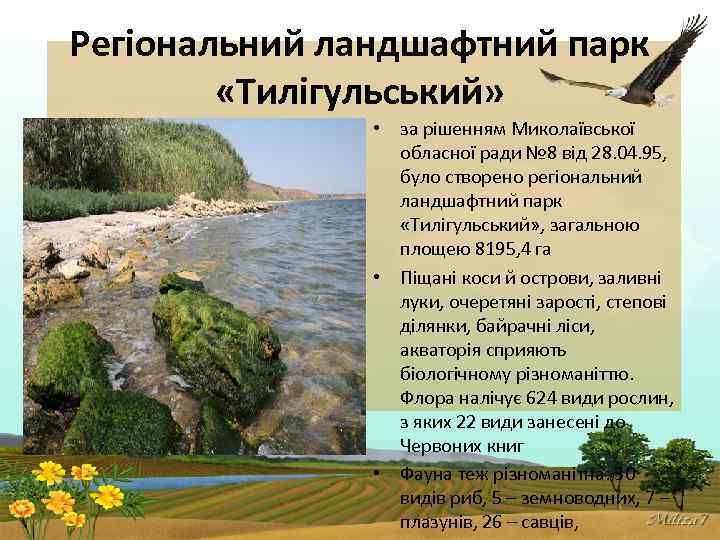 Регіональний ландшафтний парк «Тилігульський» • за рішенням Миколаївської обласної ради № 8 від 28.