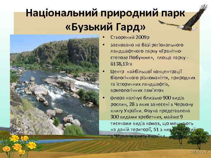 Національний природний парк «Бузький Гард» • • Створений 2009 р засновано на базі регіонального