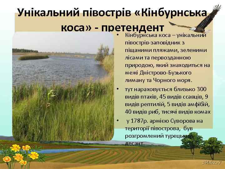 Унікальний півострів «Кінбурнська коса» - претендент • Кінбурнська коса – унікальний півострів-заповідник з піщаними