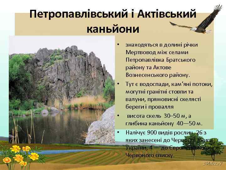Петропавлівський і Актівський каньйони • знаходяться в долині річки Мертвовод між селами Петропавлівка Братського