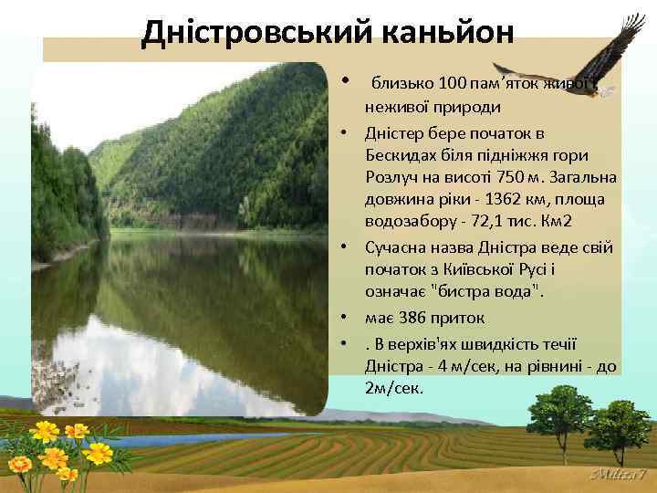 Дністровський каньйон • близько 100 пам’яток живої і • • неживої природи Дністер бере