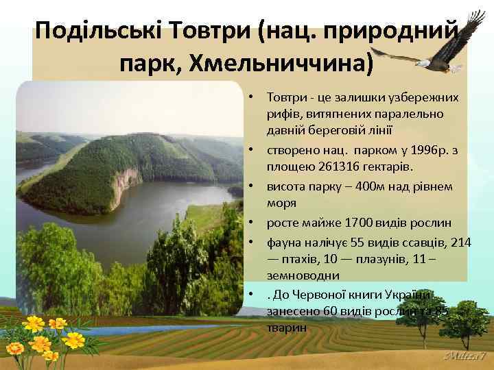 Подільські Товтри (нац. природний парк, Хмельниччина) • Товтри - це залишки узбережних рифів, витягнених