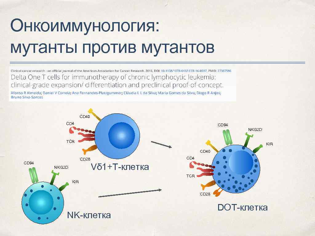 Онкоиммунология: мутанты против мутантов CD 40 CD 4 CD 94 TCR NKG 2 D