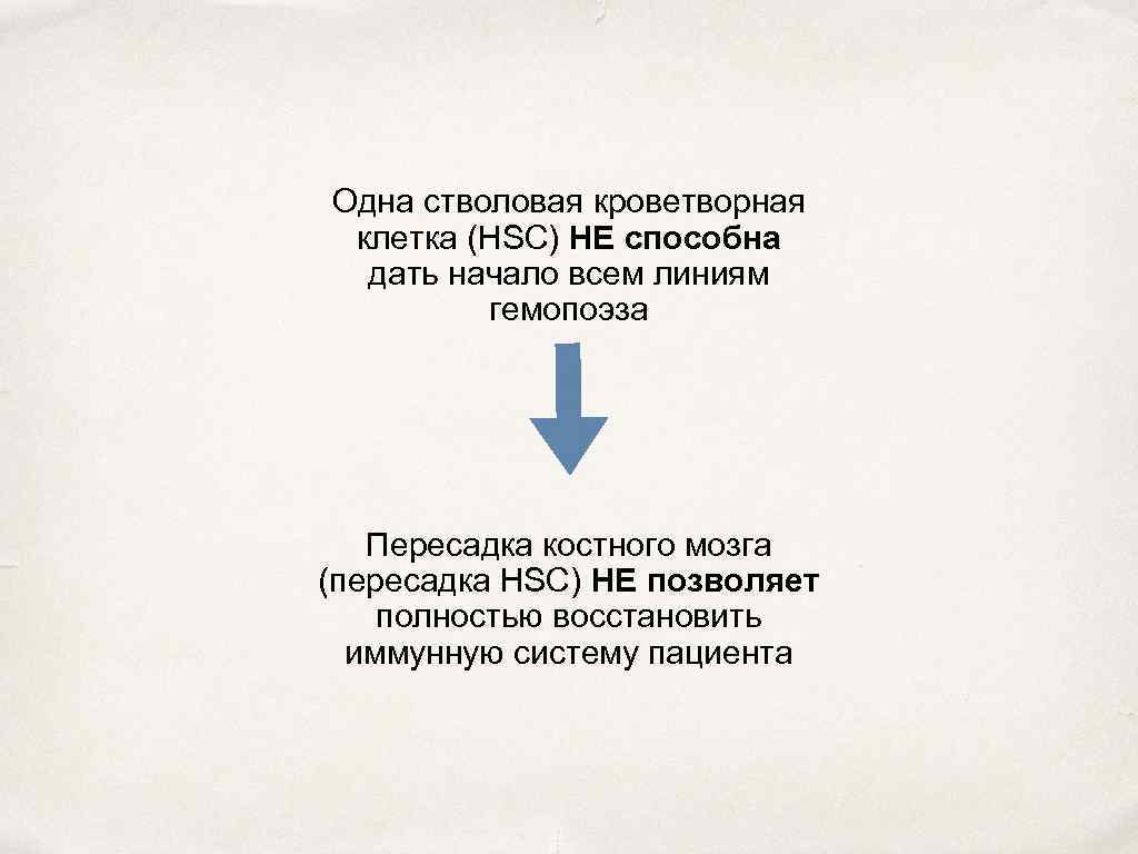 Одна стволовая кроветворная клетка (HSC) НЕ способна дать начало всем линиям гемопоэза Пересадка костного